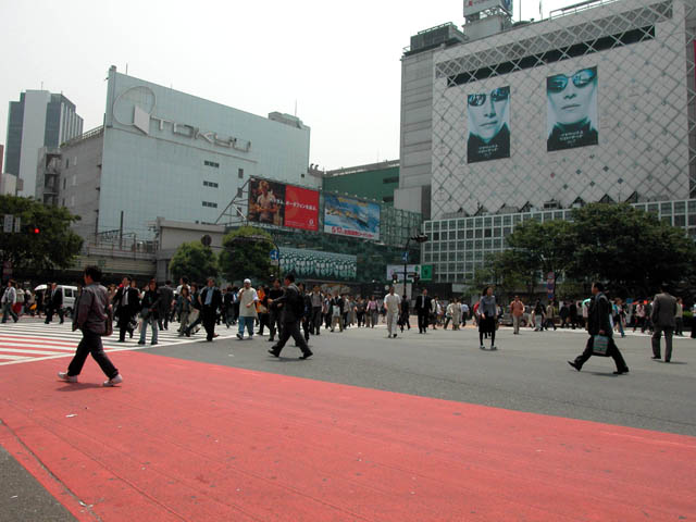 sibuya looks