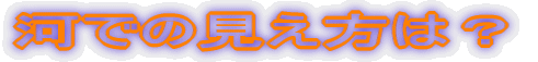 ͂ł̌́H
